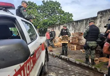 Polícia Ambiental apreende mais de 90 aves silvestres e prende homem em Guarabira