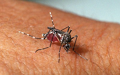 Paraíba registra primeira morte por dengue em 2025